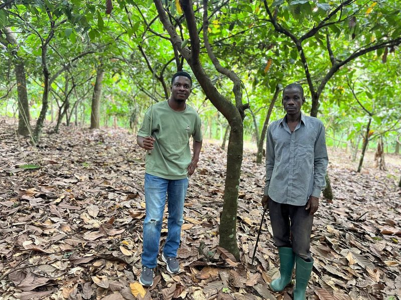 A SoilPulse agronomist walking a cocoa plantation alongside the farmer who owns it
